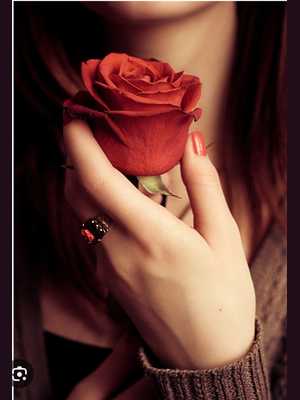 Позвоните проститутке, она ждет именно вас Гозал