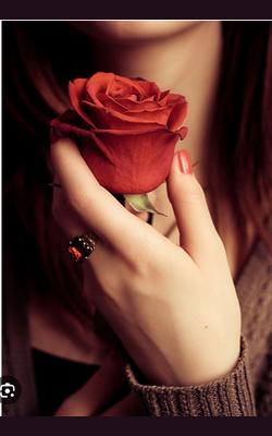 Проститутки Гозал